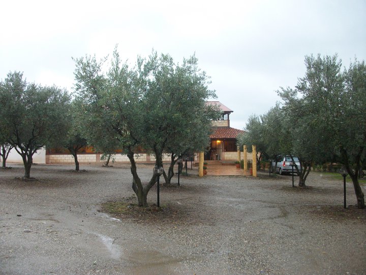 foto azienda